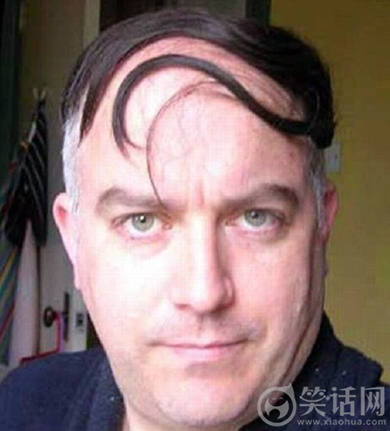 尴尬的刘海,来来回回就那么一撮汪星人要是突然那样动起来了就尴尬了