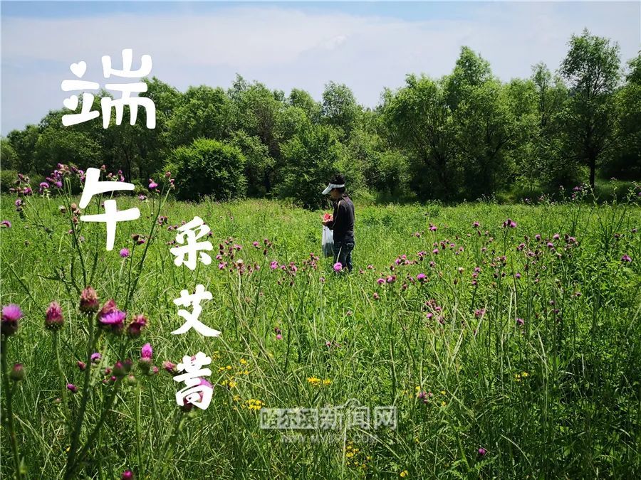 又逢仲夏夜,端午踏青时【网络中国节·端午】