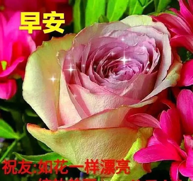 端午节问候朋友最暖心的早安祝福语句,微信朋友圈漂亮的端午节问候