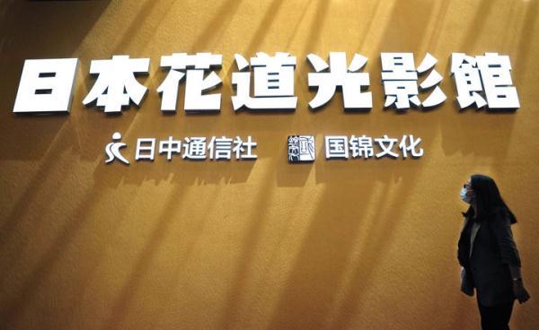 花道与光影交相辉映 日本花艺扮靓中国第十届花博会 腾讯新闻