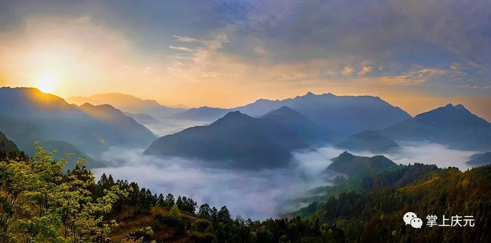 庆元县列入省天然林保护修复实施方案编制试点县