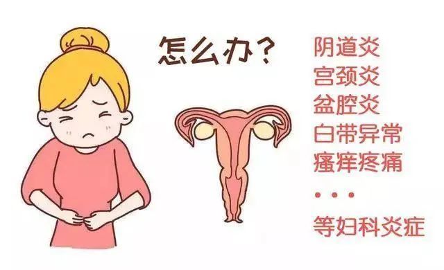 夏日婦科炎症高發期女性如何預防