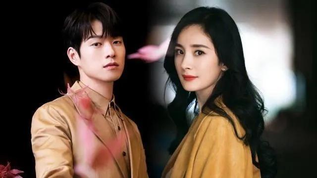 杨幂会和魏大勋结婚吗