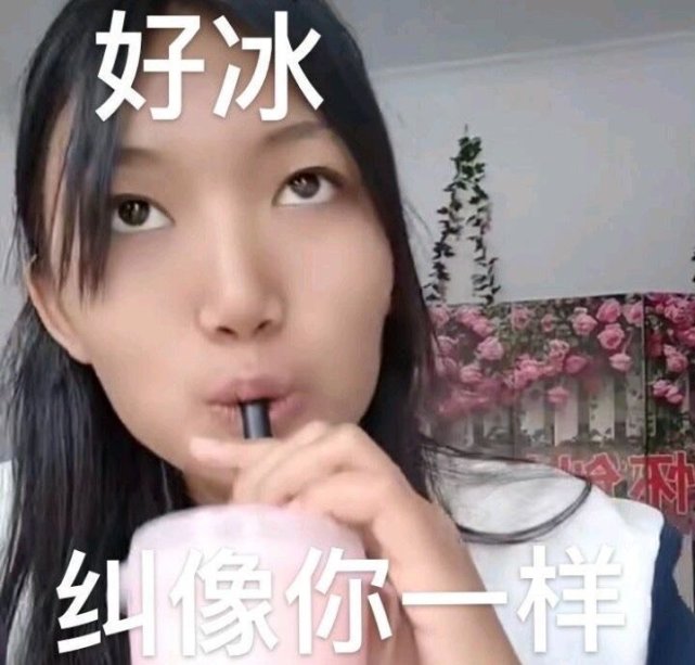 纠纠表情包大放送