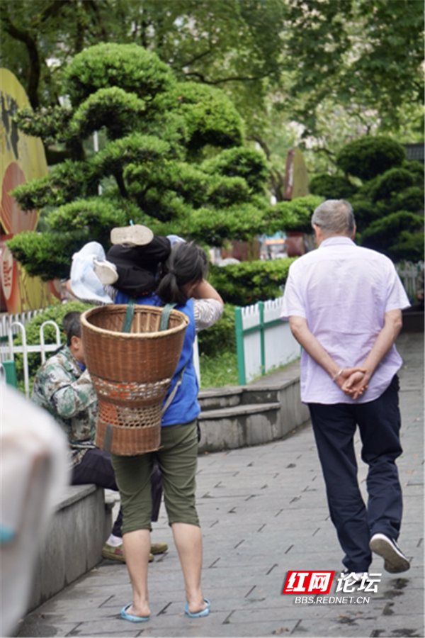 小孩背草图片图片