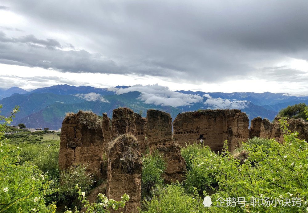 人才啊,令我想起了一個人,弗蘭克·阿巴內爾,教師,飛行員,律師,醫生都