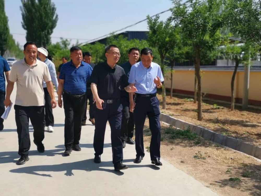 在邵岗镇甘城子村,大沟村,玉西村等地,张自力实地察看沿路商网,经果林