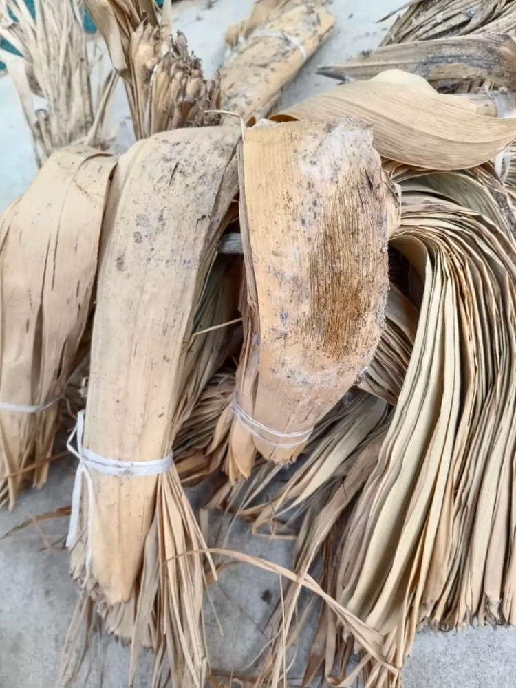 婆婆一出门,我把那包粽叶打开一看,天哪,这明明都有很多霉点了,而且看