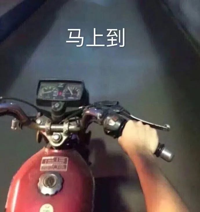 表情包抖音表情包爱心发射1004期