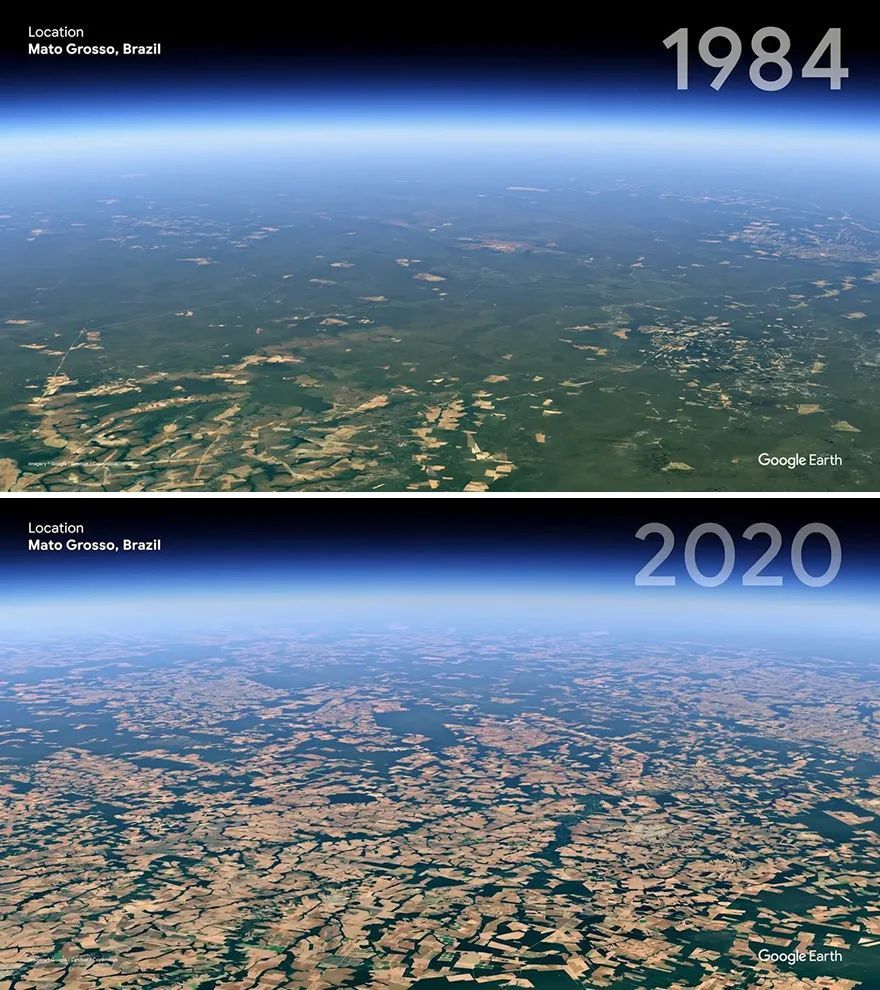 显示了从1984年到2020年我们地球上的海洋,森林,冰川,海滩和城市发生