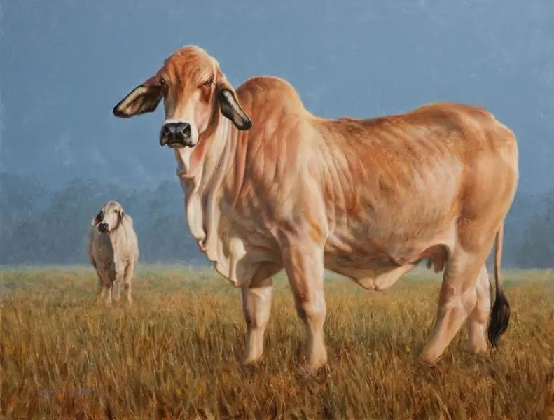 a.suys-家畜油画作品欣赏