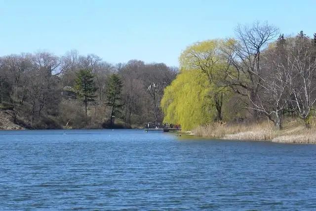 十二生肖21年6月15日运势查询 腾讯新闻