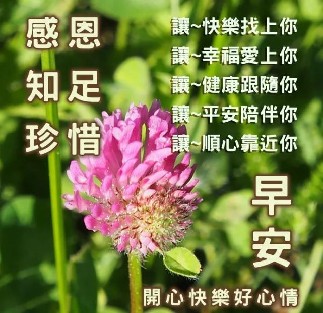 新的一天早上好問候語圖片早上好祝福的句子