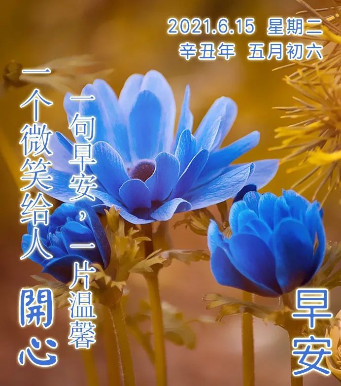 2021新的一周最新版早安祝福图片 美好的一天又开始了 早安心语