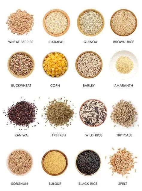 什么才是真正的全谷物摄入全谷物对人体有什么好处