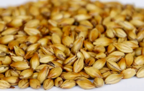 送您一杯舒心茶去火气健胃气