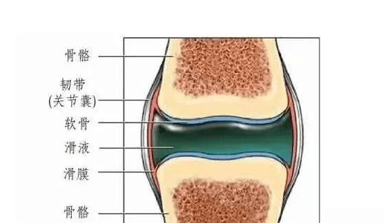 血友病滑膜炎手术过程是怎样的