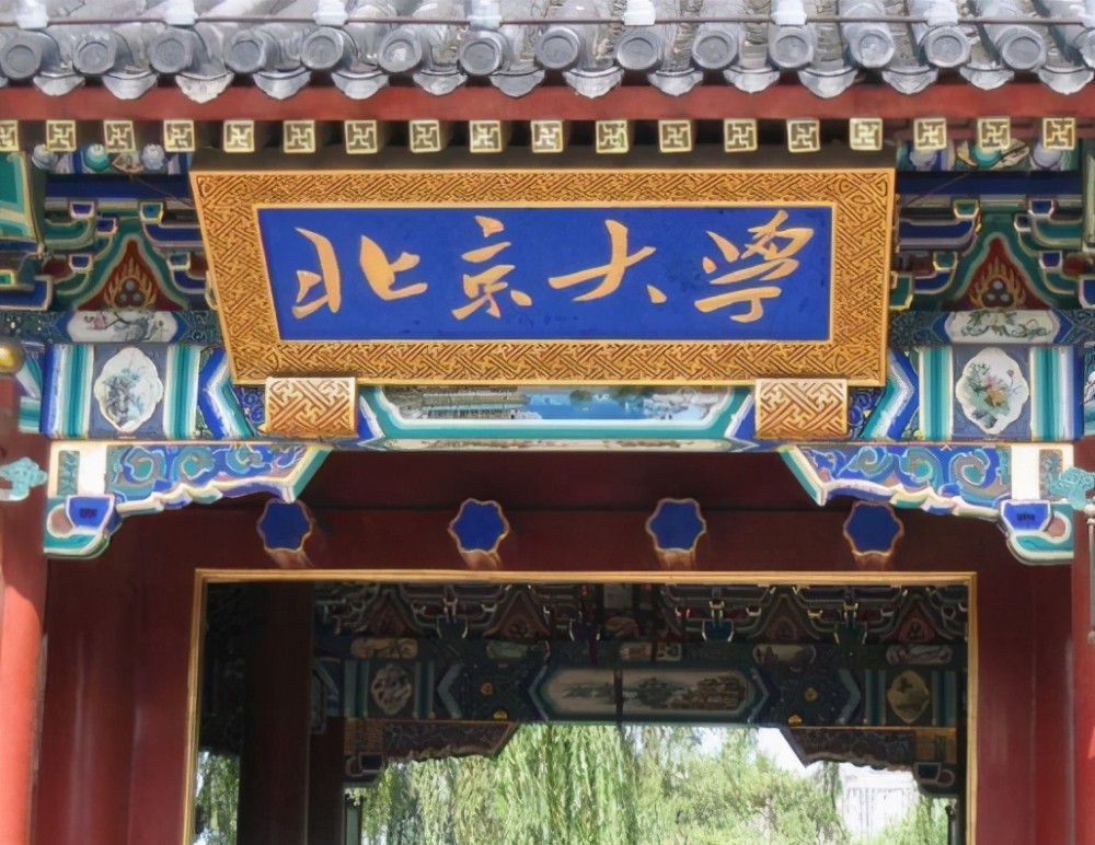 学霸"重生"之路:考上北大却成"废物",退学后第二年考入清华