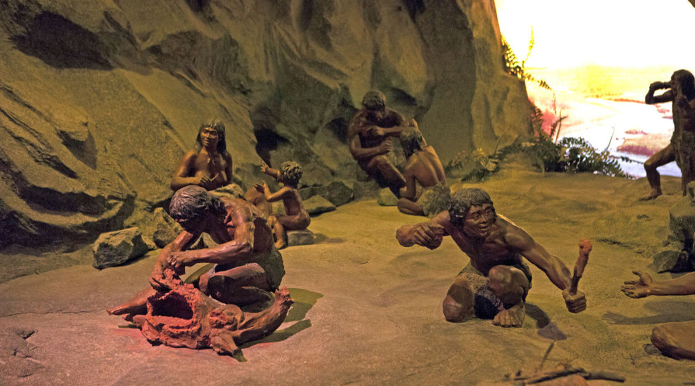 动物不需要额外吃盐,原始人也不需要,现代人凭什么要吃盐?