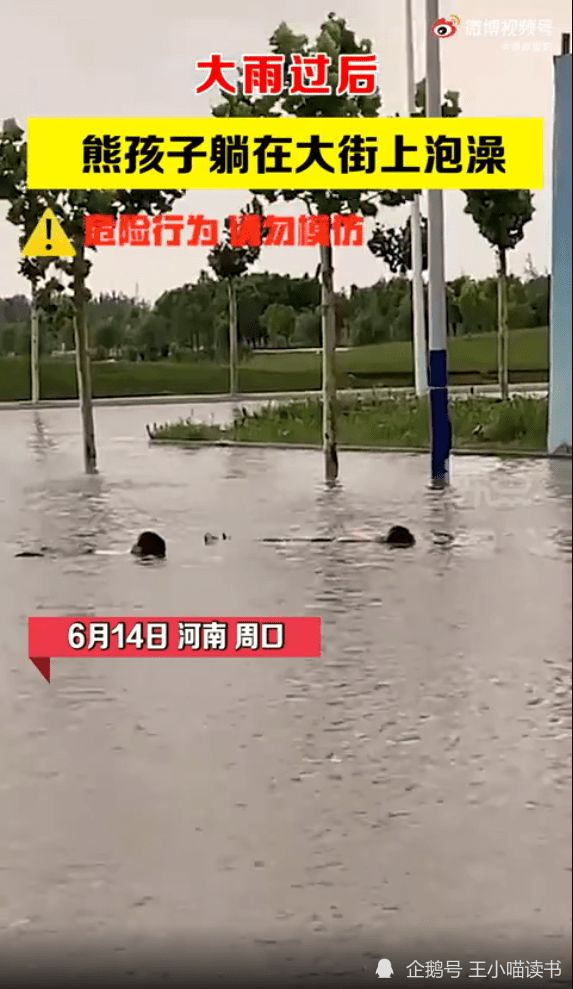 新马泰一日游什么梗(新马泰一日游笑话)