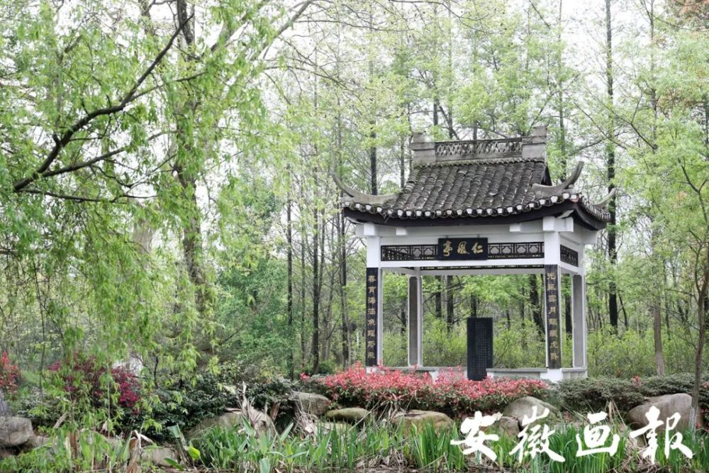 名校之光舒城中学天下己任仁风遐扬