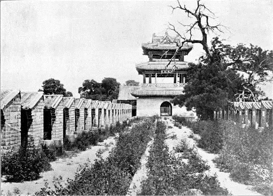 顺天贡院,低矮的格子间就是考生答题的地方 为防止考生将作弊材料偷带