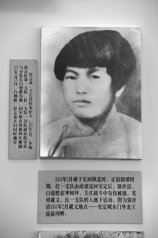 先辈的足迹子长篇(上)|革命|任志贞|抗日民族统一战线|瓦窑堡|子长市