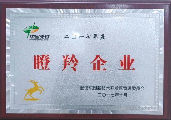 陆羽国际茶业交易所严建红谈互联网茶叶:重构行业新标准