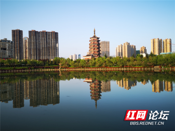 漂亮舒服怀化市区的鹤鸣洲这么水清岸绿爱了爱了