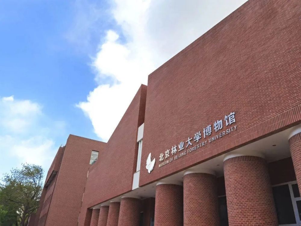 【访谈】北京林业大学：2021年动画专业单独招生，部分选考科目有调整