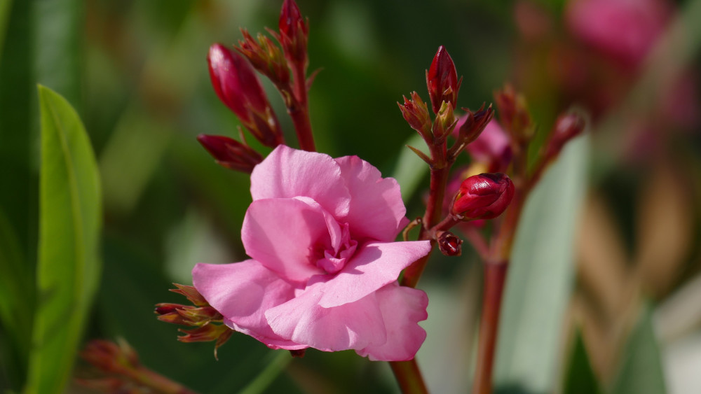 6月16日星座运势 重拾锐气 拔得头筹的四大星座 腾讯新闻