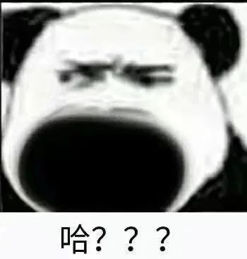 表情包|沙雕表情包 1095期