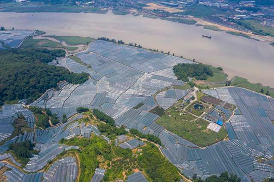 象环村位于福建省福安市赛岐镇,正值盛夏,现在早