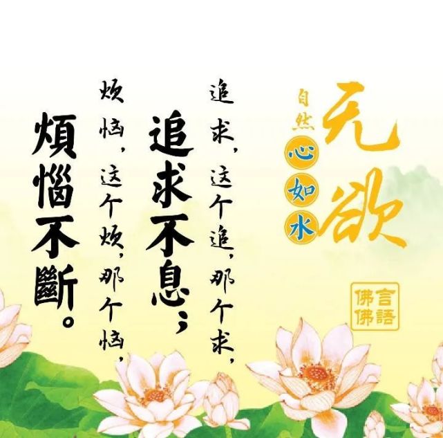 佛语经典语录让人心静的禅心佛语