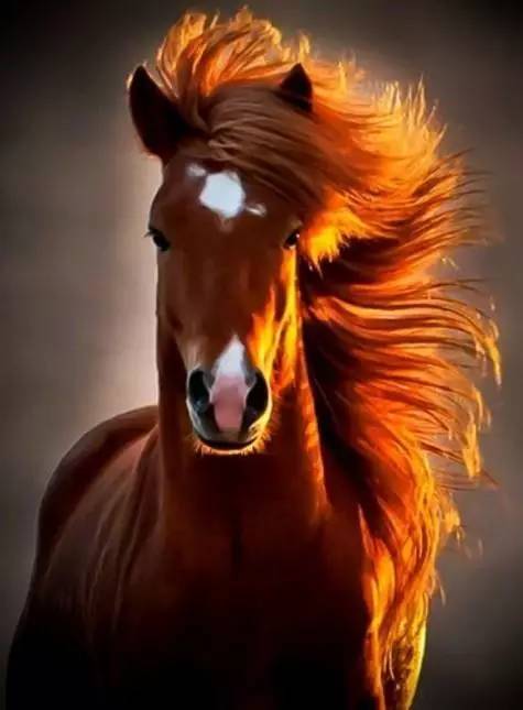 汗血马是否历史杜撰