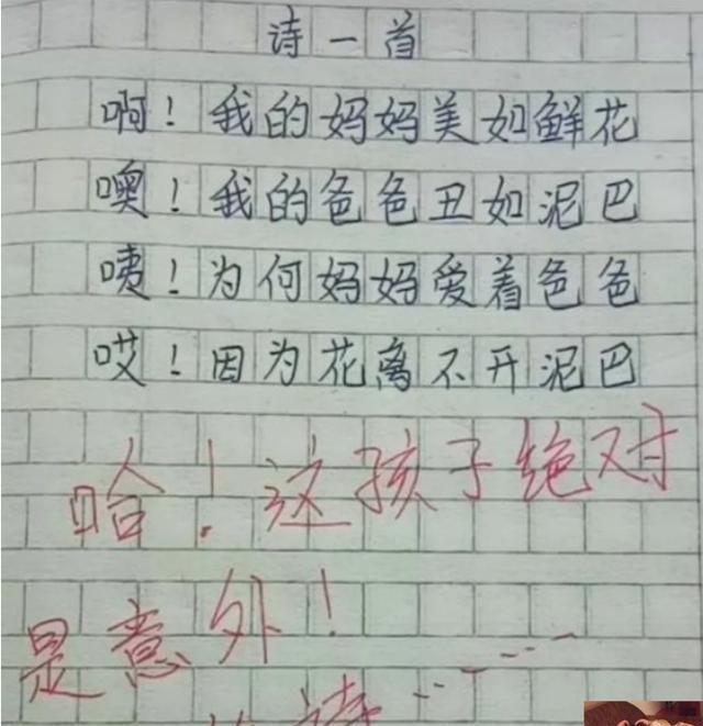 小学生奇葩作文走红老师看后笑不停网友德云社需要你