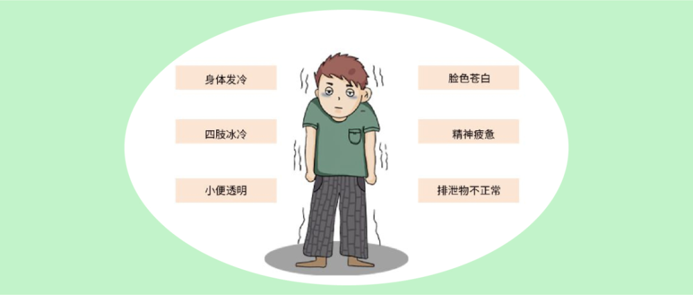 中医怕冷的阳虚体质如何养生