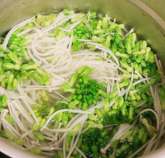 金针夜来香 非常的鲜甜 做法也简单 金针菇 排骨汤 美食天下 夜来香