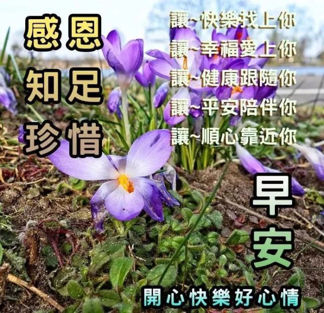 漂亮好看的早上好動態美圖鮮花帶字,早晨好幸福暖心的祝福問候語鮮花