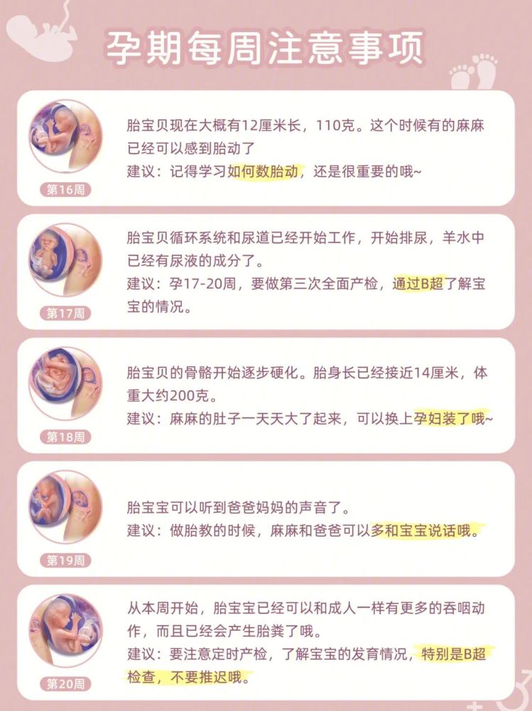 怀孕1 40周宝宝变化图 孕期每周注意事项 腾讯新闻
