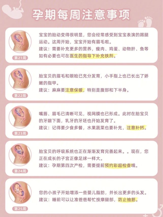 1到40周孕肚变化图-千图网