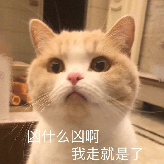 表情包你也没有人要