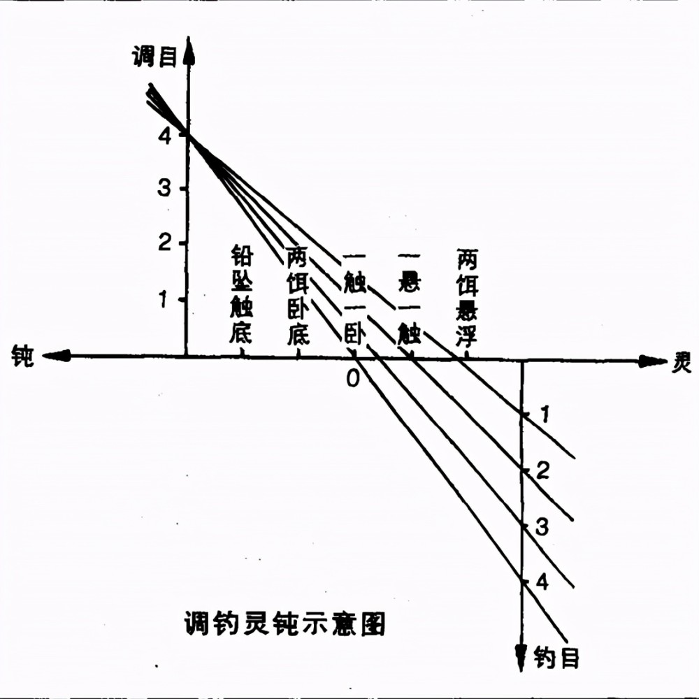 调灵调钝不明白一幅图了解钩饵在水底的状态