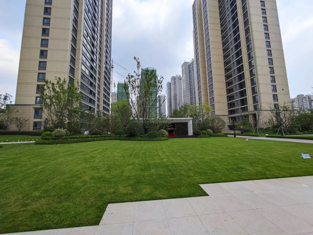房价大幅上涨年份_房价每年涨幅不能超过5%_房价每年上涨幅度多少是合理的