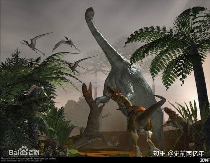 史上十大体型最庞大的恐龙,榜首比蓝鲸还要长20米