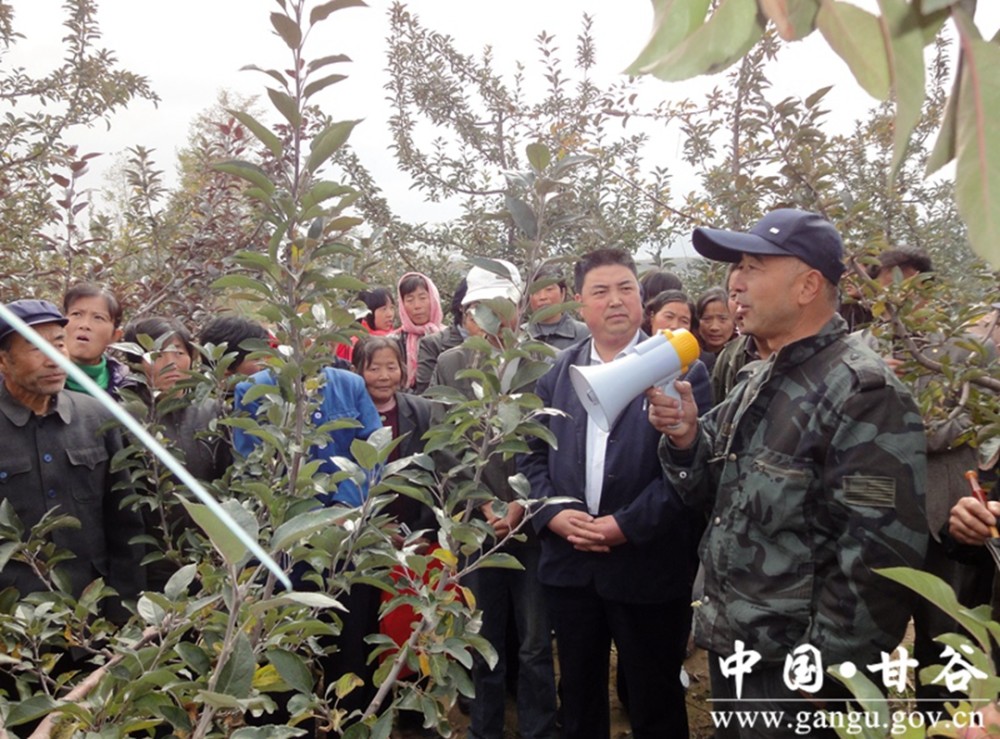 把青春书写在广袤大地上——记甘肃省脱贫攻坚先进个人高世扬