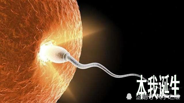 人类自我意识诞生于受精卵前 中 后 或出生 腾讯新闻