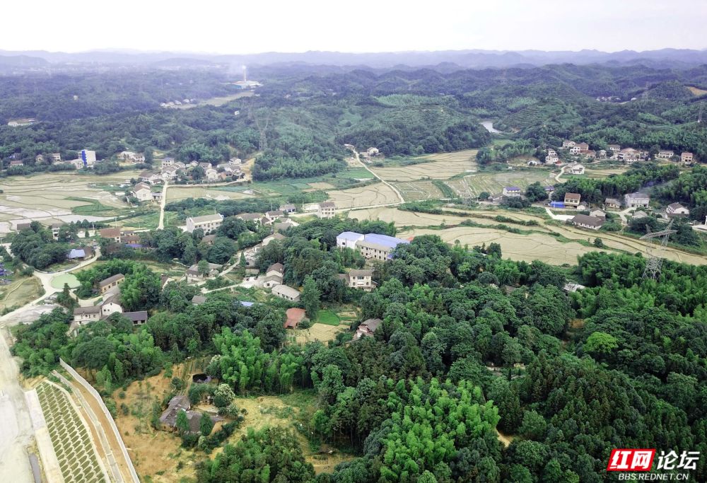 美丽乡村绿意浓来看看益阳的绿色银行