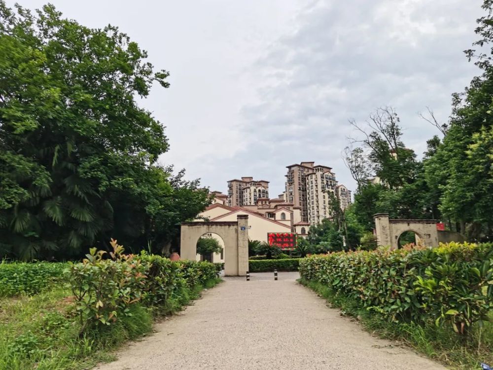 时间开始了丨藏龙岛某小区纪事系列2