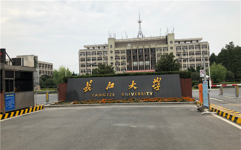 湖北高校第二城!